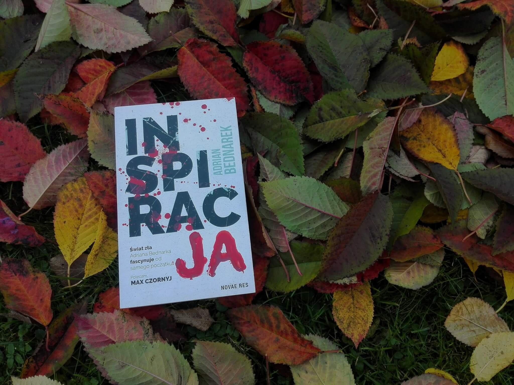 inspiracja adrian bednarek recenzja scaled - Inspiracja - Adrian Bednarek