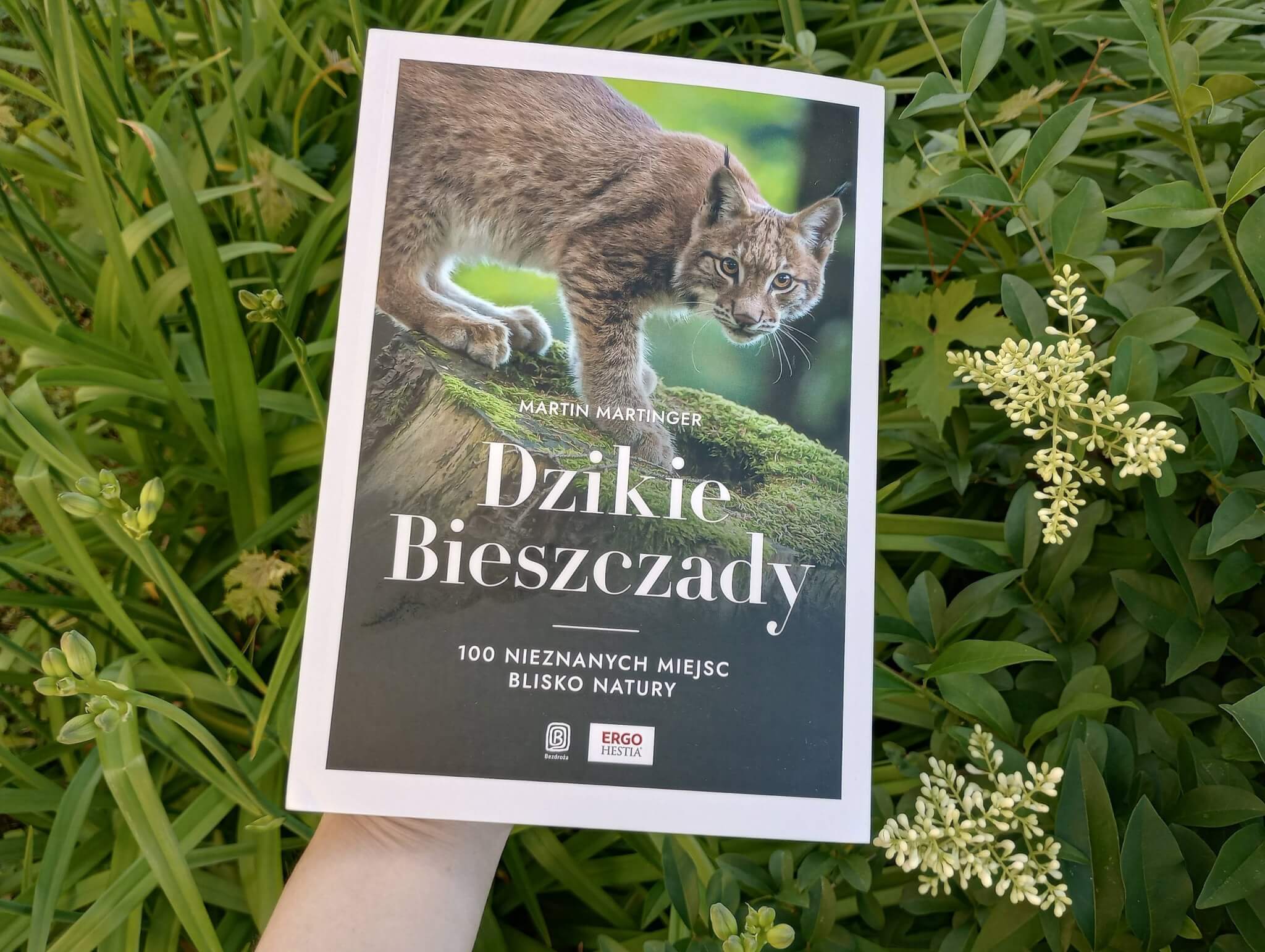 dzikie bieszczady scaled - Dzikie Bieszczady - Martin Martinger