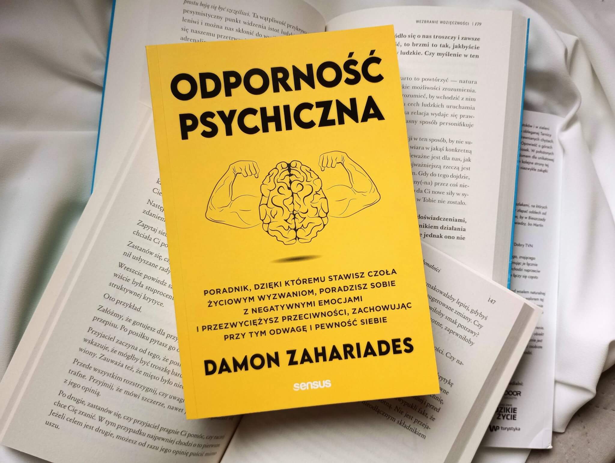 odpornosc psychiczna scaled - Odporność psychiczna - Damon Zahariades