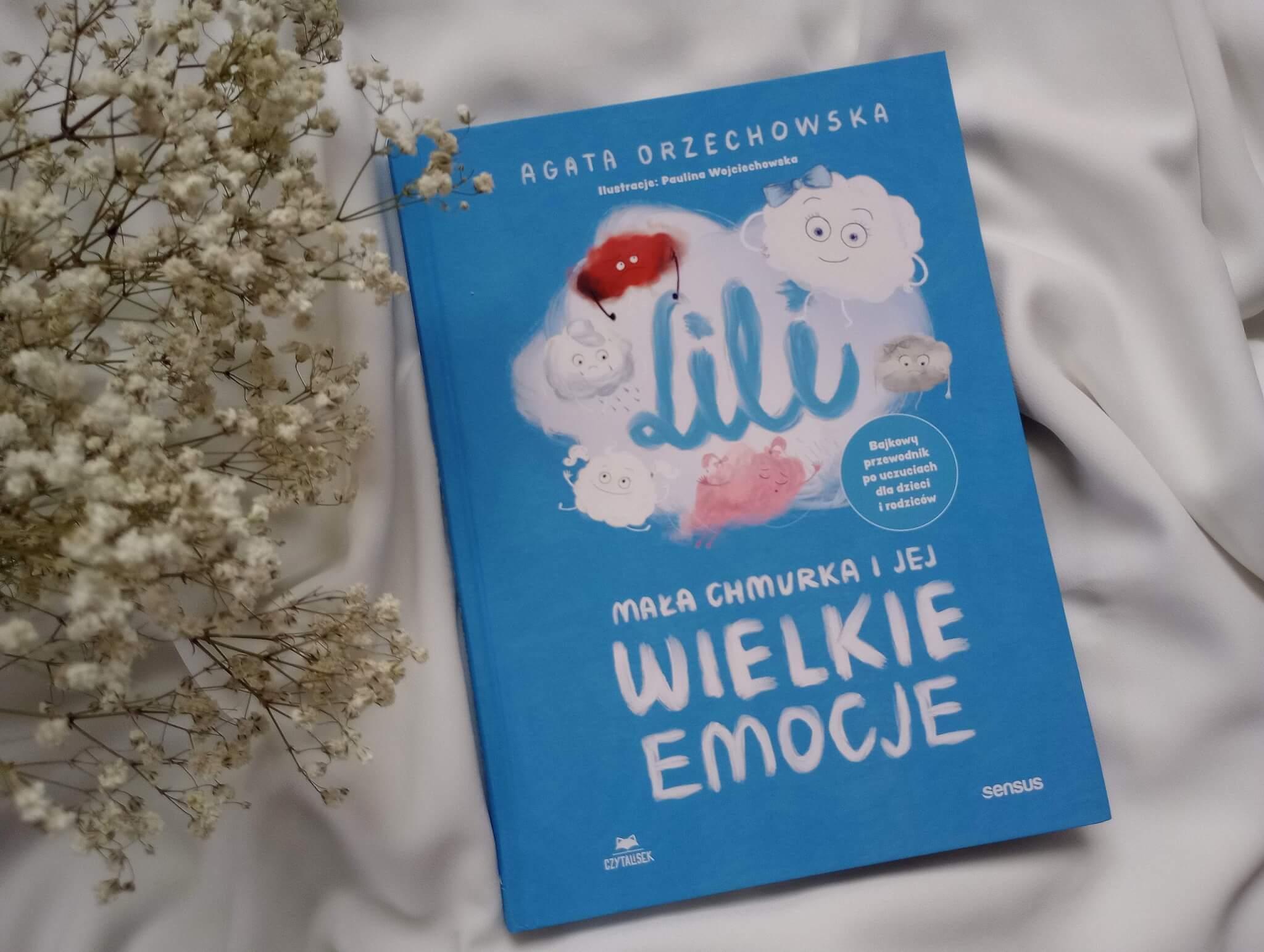 lili mala churka i jej wielkie emocje agata orzechowska opinia scaled - Edukacja emocjonalna: "Lili. Mała chmurka i jej wielkie emocje" - Agata Orzechowska
