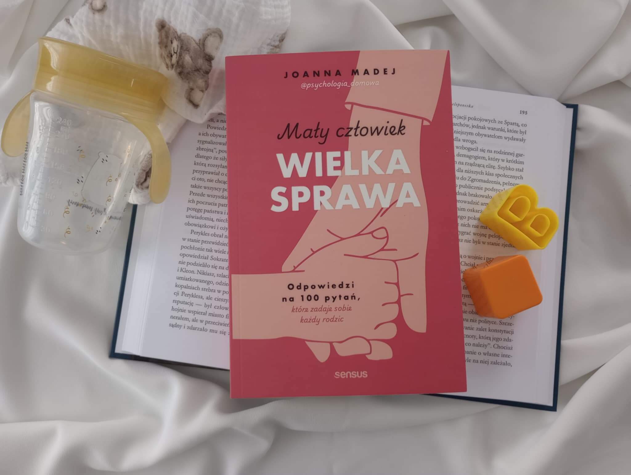 8b7d62c9 a310 427f b333 22b385db3a15 - Mały człowiek, wielka sprawa. Odpowiedzi na 100 pytań, które zadaje sobie każdy rodzic - Joanna Madej