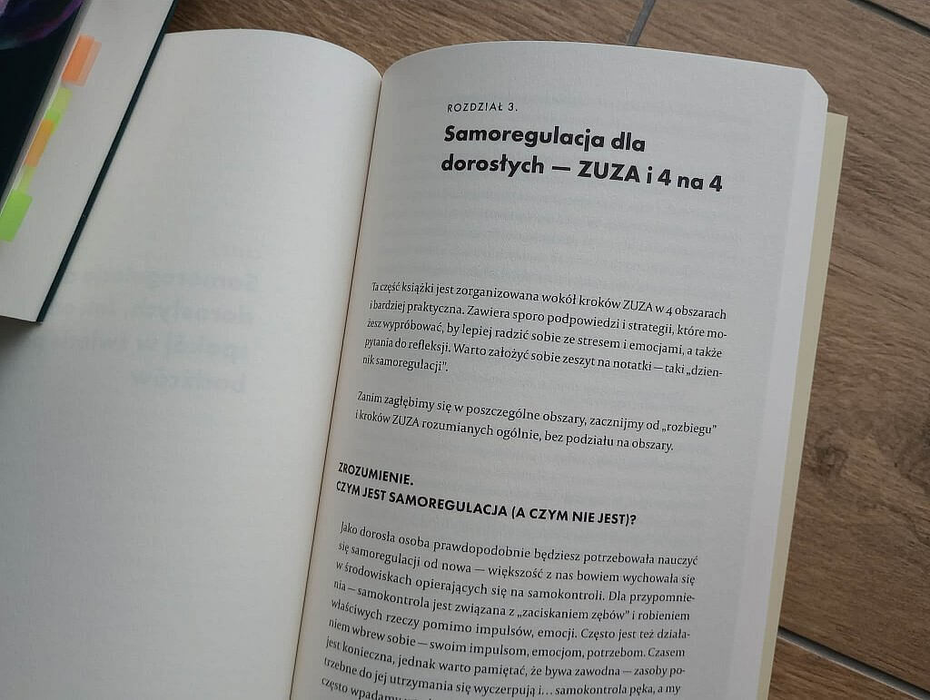 jak wspierac rozwoj emocjonalny dziecka natalia fedan poradnik 1024x771 - Samoregulacja zamiast samokontroli. Recenzja poradnika dla rodzic&oacute;w "Samoregulacja w praktyce" Natalii Fedan