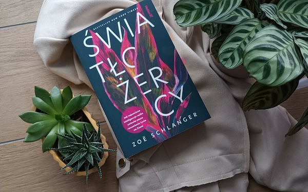 swiatlozercy zoe schlanger recenzja 600x375 - Rewolucja w myśleniu o roślinach. Recenzja "Światłożerców" Zoe Schlanger